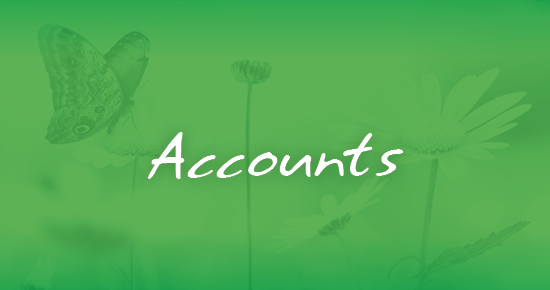 3. Accounts